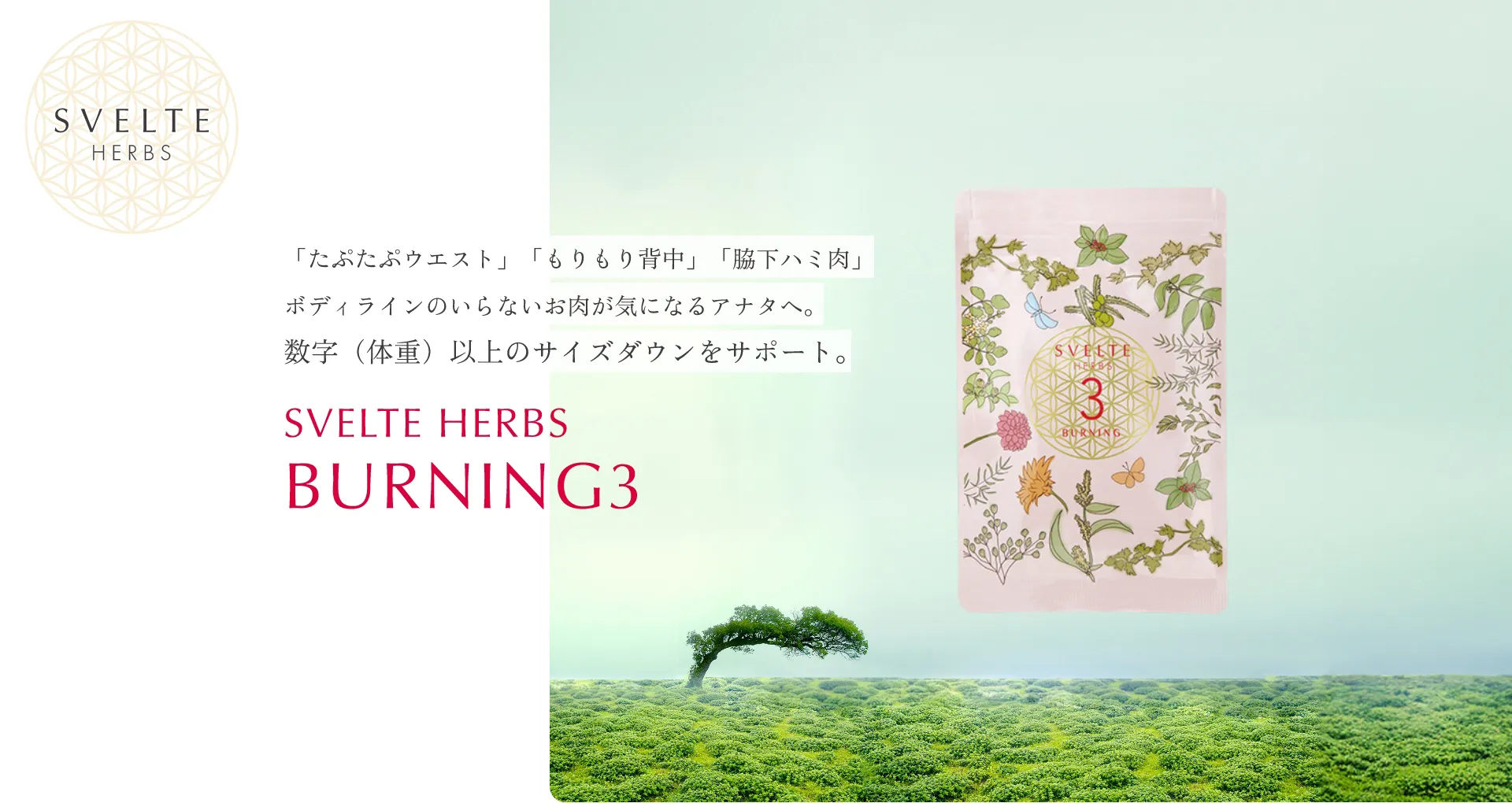 「たぷたぷウエスト」「もりもり背中」「脇下ハミ肉」ボディラインのいらないお肉が気になるアナタへ。数字（体重）以上のサイズダウンをサポート。