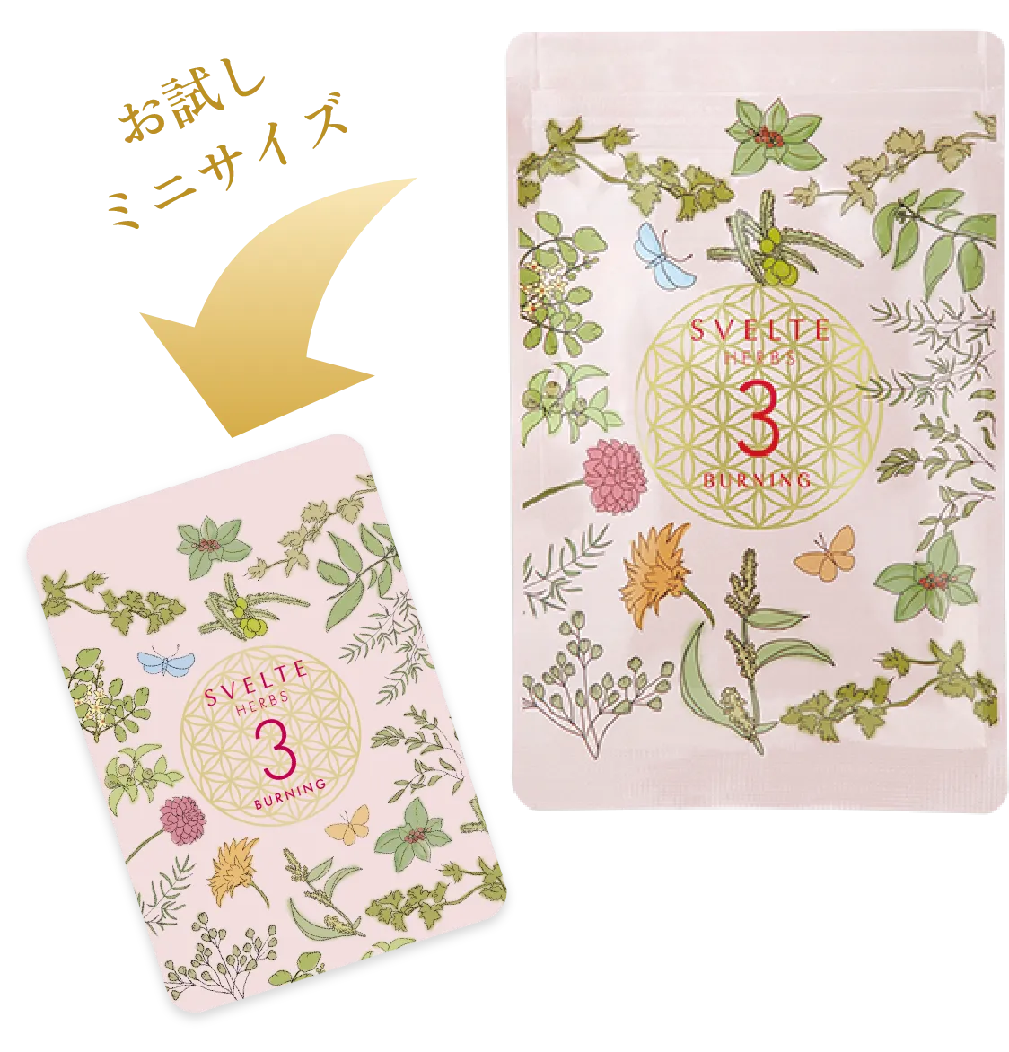 SVELTE HERBS BURNING 3